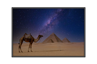 pyramid and camel with desert horizon